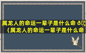 属龙人的命运一辈子是什么命 🦊 （属龙人的命运一辈子是什么命运 🐳 呢）